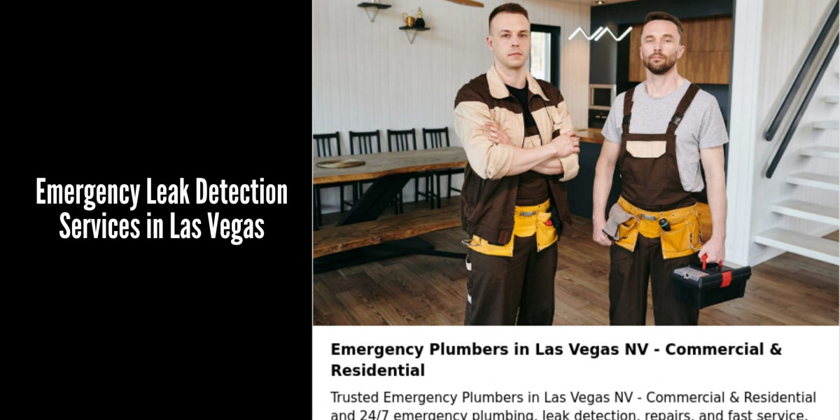 Emergency Leak Detection Services in Las Vegas