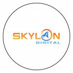 Skylan Digital profile picture