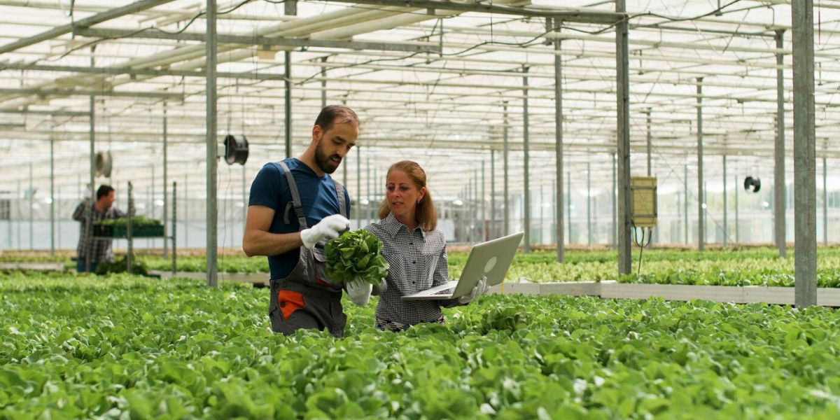 Turkey Agritech Market: Digital Transformation in Agriculture