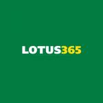 lotus365 shop profile picture