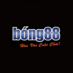 Bong88 Link vào Bong88 profile picture