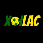 savesallacom lừa đảo profile picture