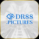 DR88 PICTURES profile picture
