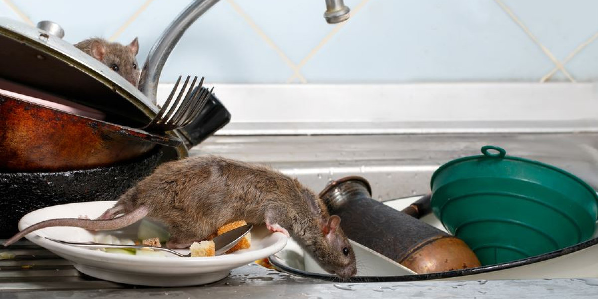 Rodent Control in Sacramento