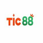Tic88 profile picture